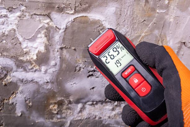 Best Mold Testing  in Springdale, AR