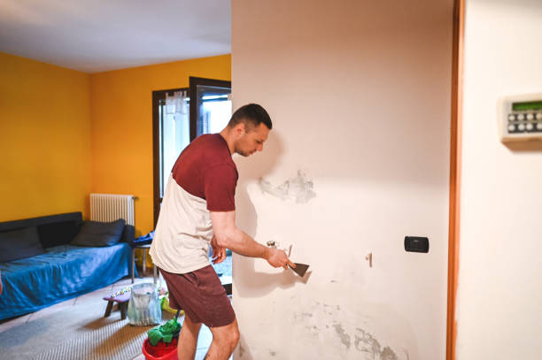 Best Office Mold Removal Services  in Springdale, AR
